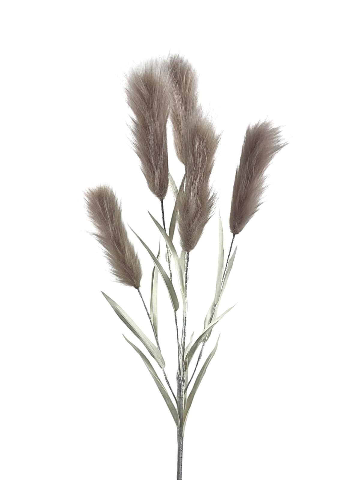 PAMPAS SPRAY X5 100CM BG