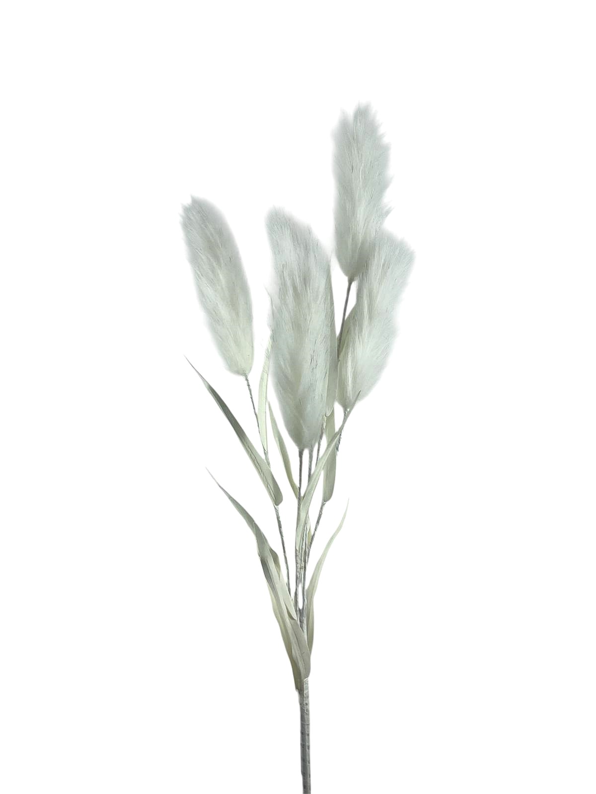 PAMPAS SPRAY X5 100CM WH