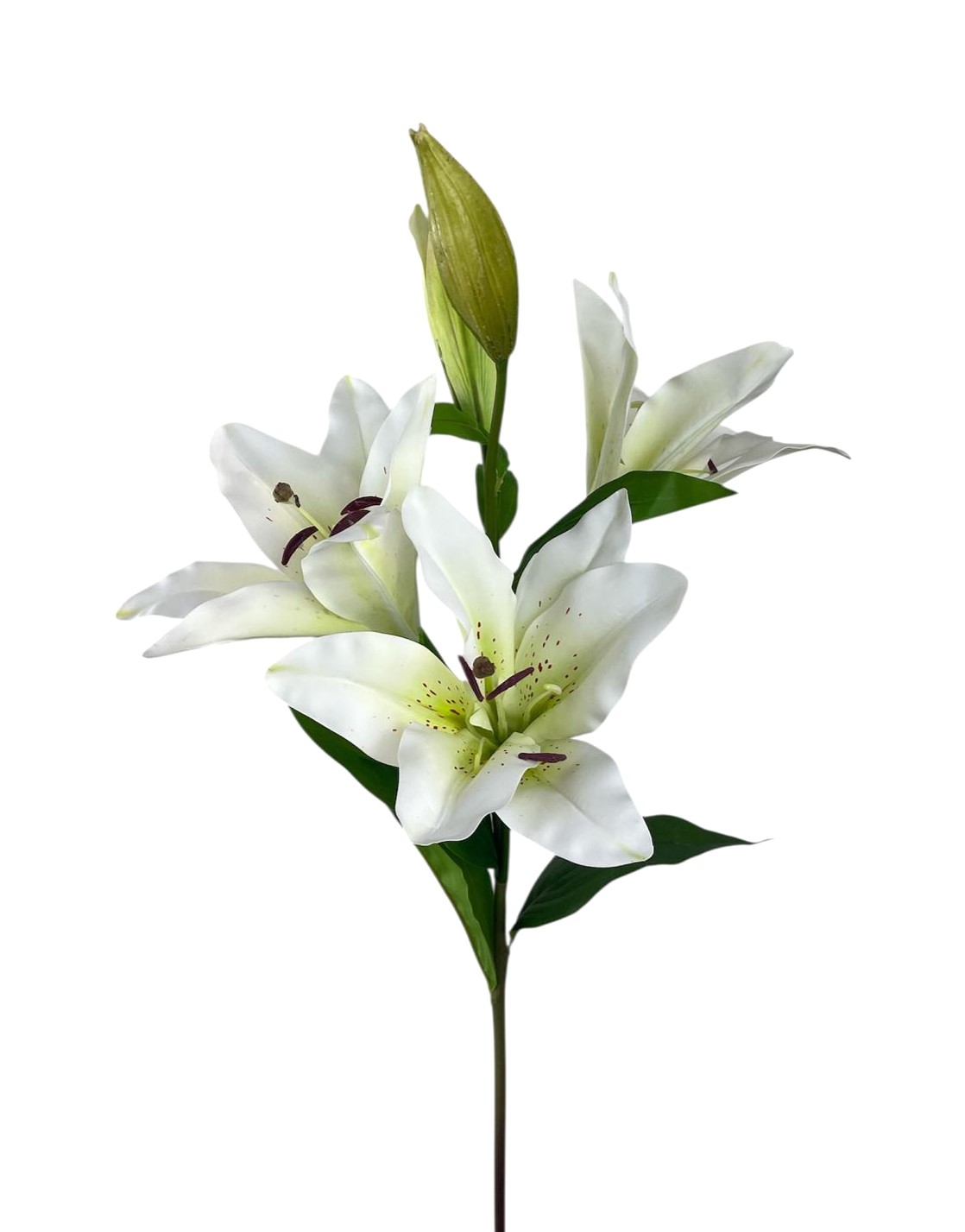 LILIUM X3 FLWR 2 BUDS 90CM WH