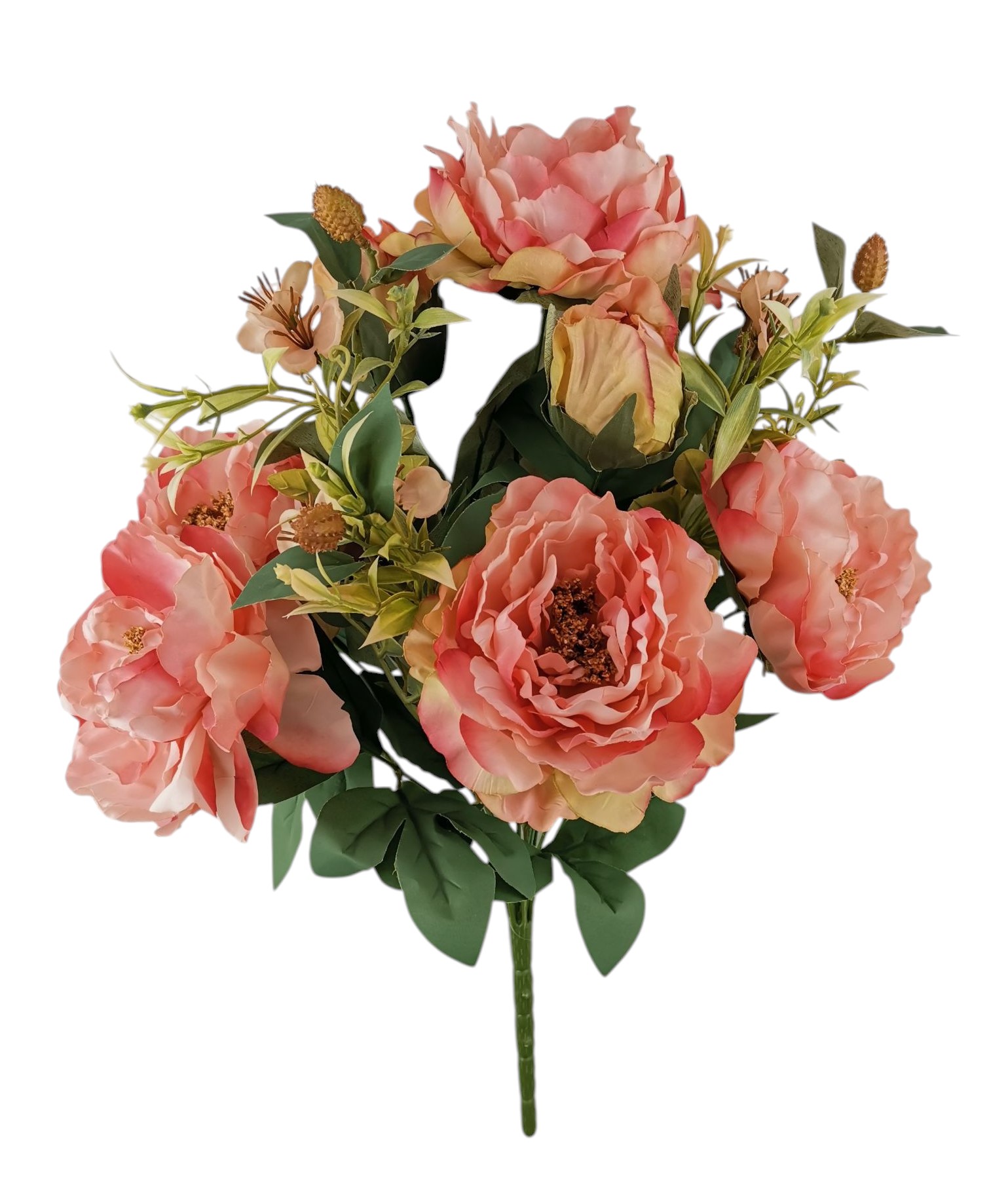 BUSH PEONIA X11 45CM PK