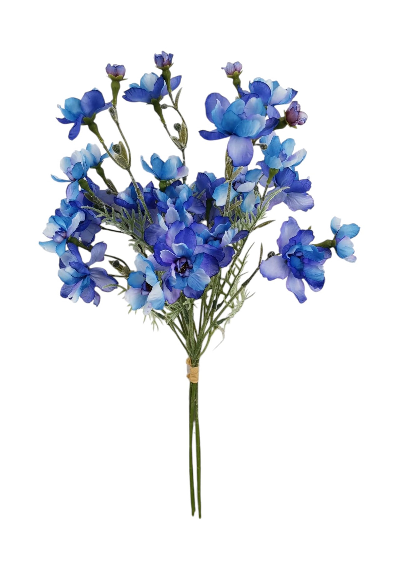 BUNDLE CLEMATIS X4 33CM BL