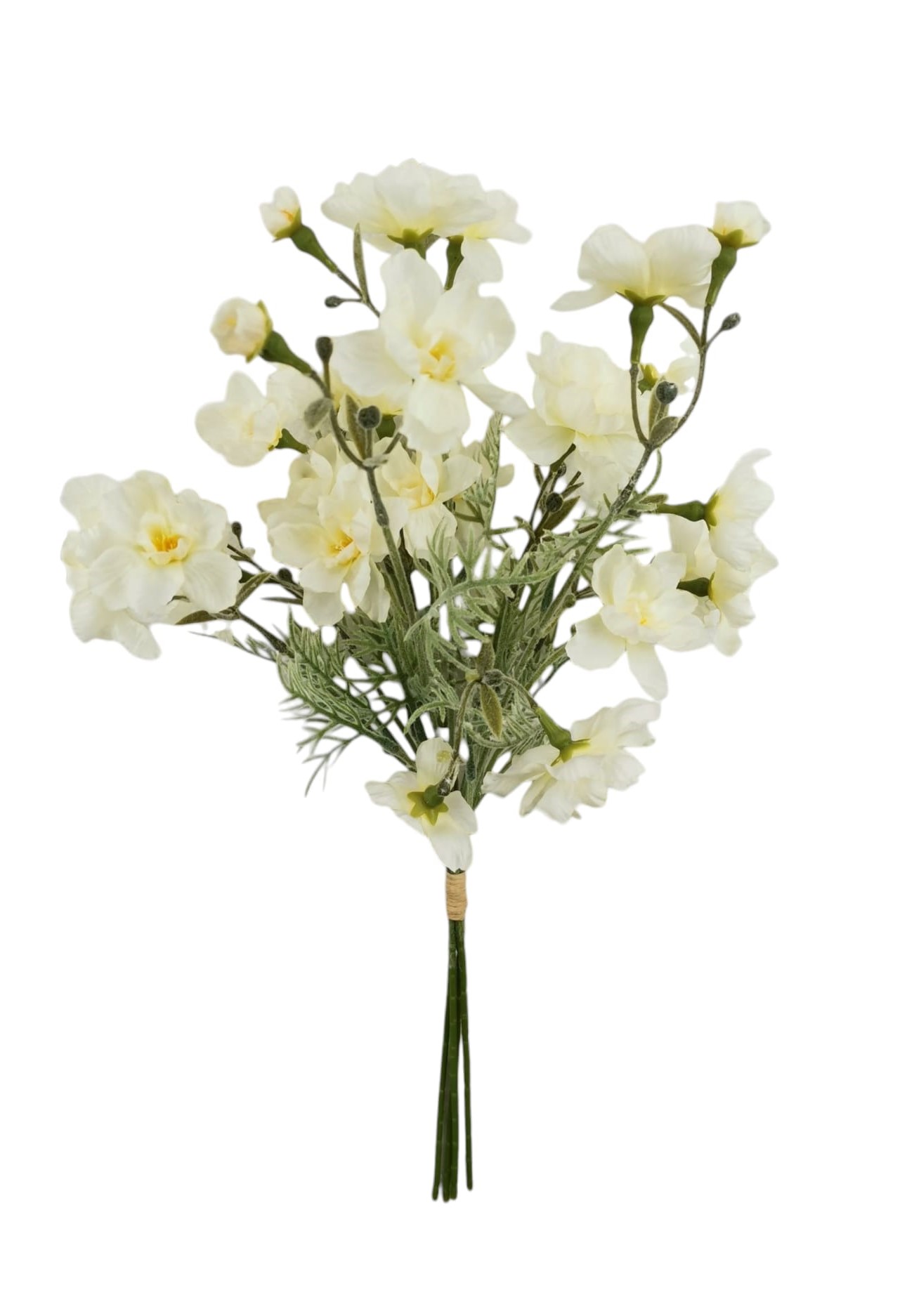 BUNDLE CLEMATIS X4 33CM CR