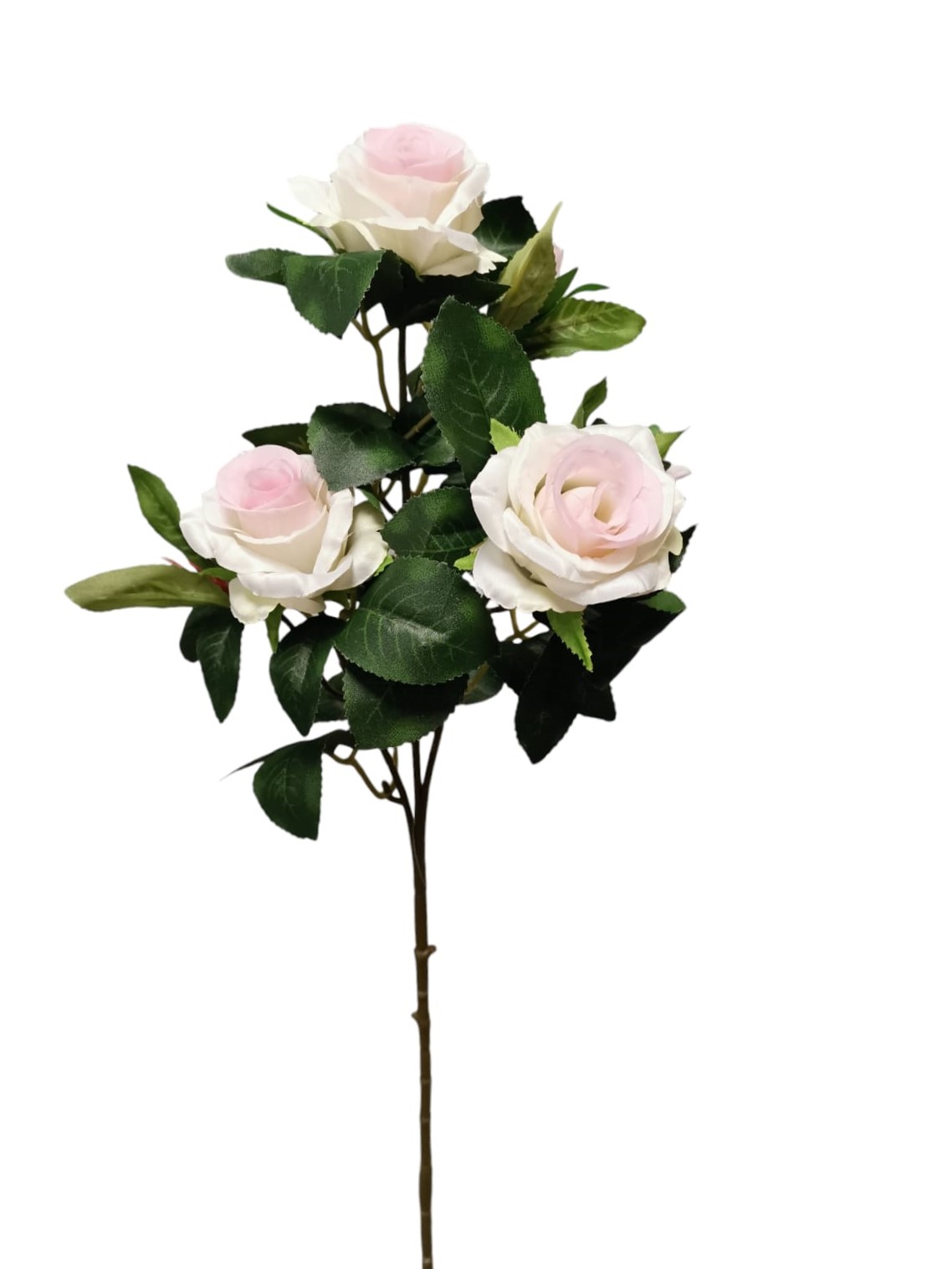 ROSELLINA SPRAY X5 69CM CRPK