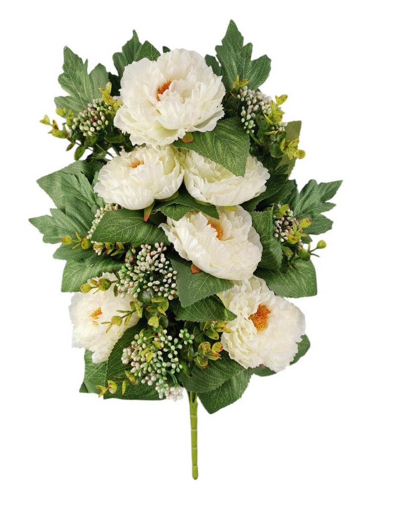 FR PEONIA X12 55CM CR