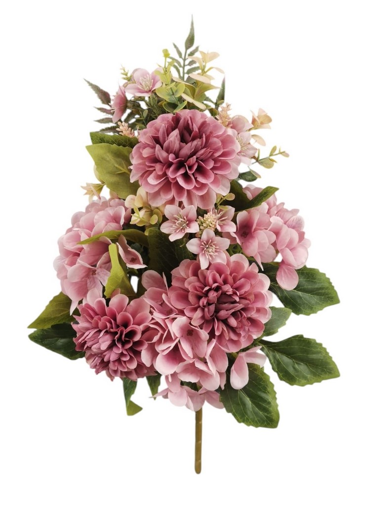 FR ZINNIA ORTENSIA X9 50CM MV