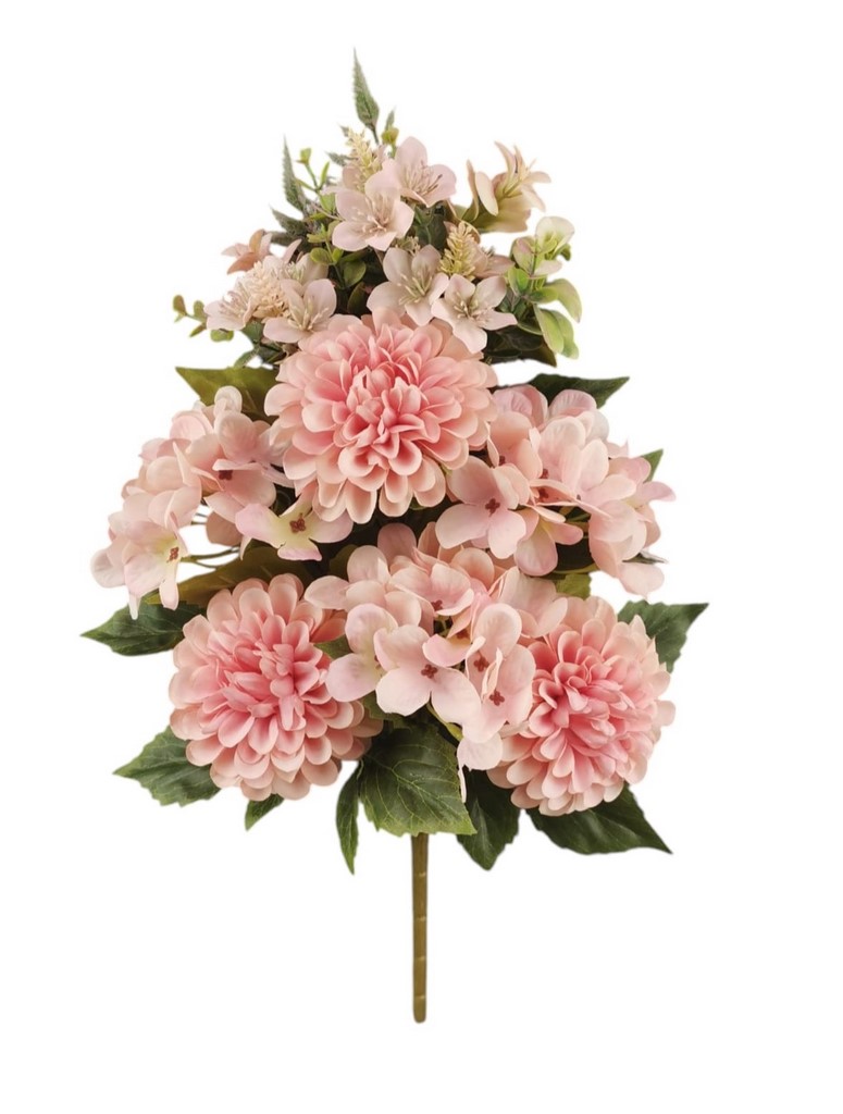 FR ZINNIA ORTENSIA X9 50CM SA