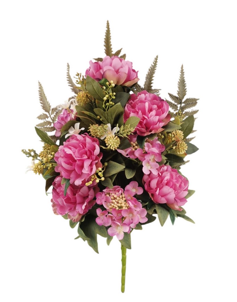 FR PEONIA X12 57CM BT