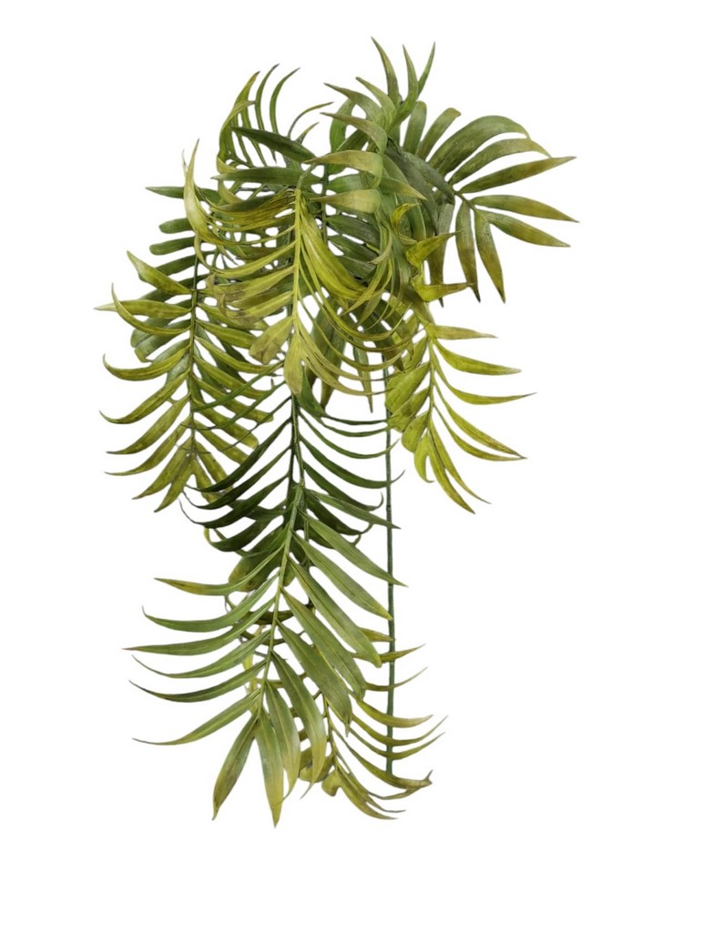 CADENTE PALMA X3 107CM GR