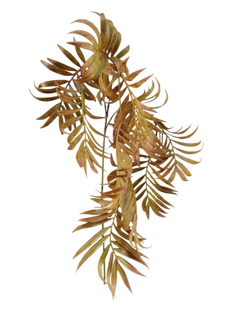 CADENTE PALMA X3 107CM GRRD