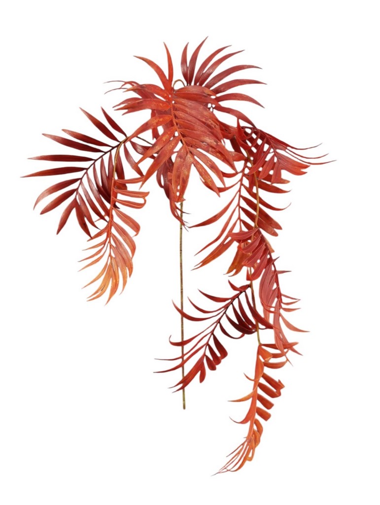 CADENTE PALMA X3 107CM OR