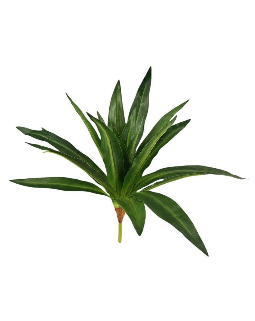 Prodotto