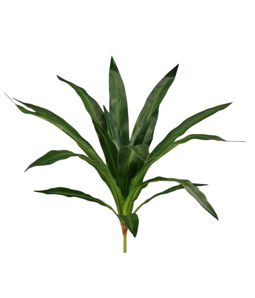 BUSH DRACENA X20 70CM GR