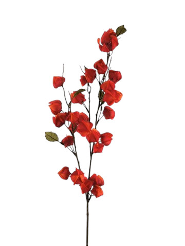 ALKEKENGI SPRAY X3 82CM FLAME