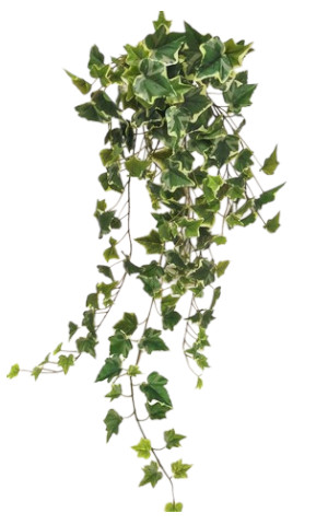EDERA CAD X191 LVS 90CM VAR