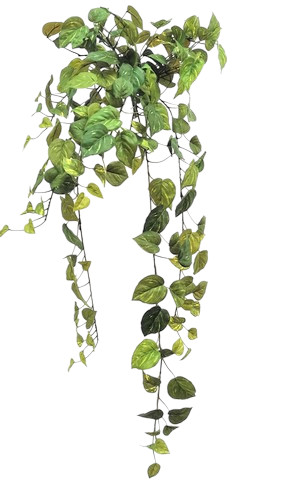 POTHOS CAD X191 LVS 90CM GR