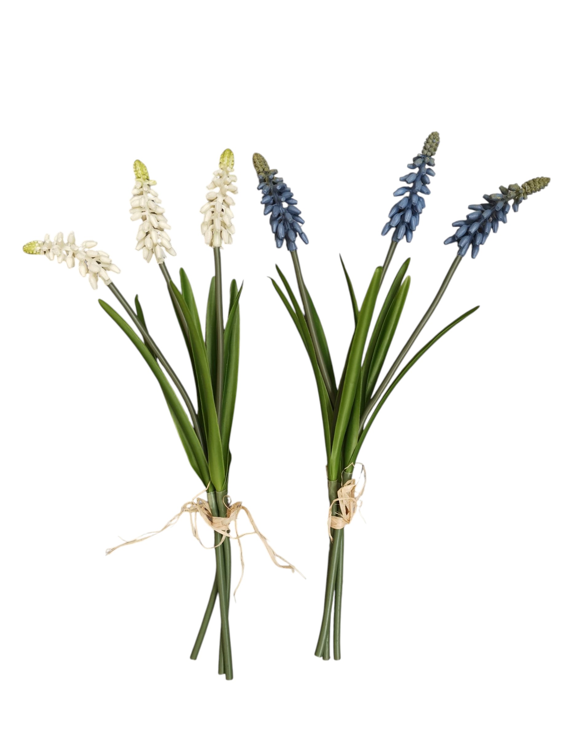 MUSCARI BUNDLE X3 31CM ASS