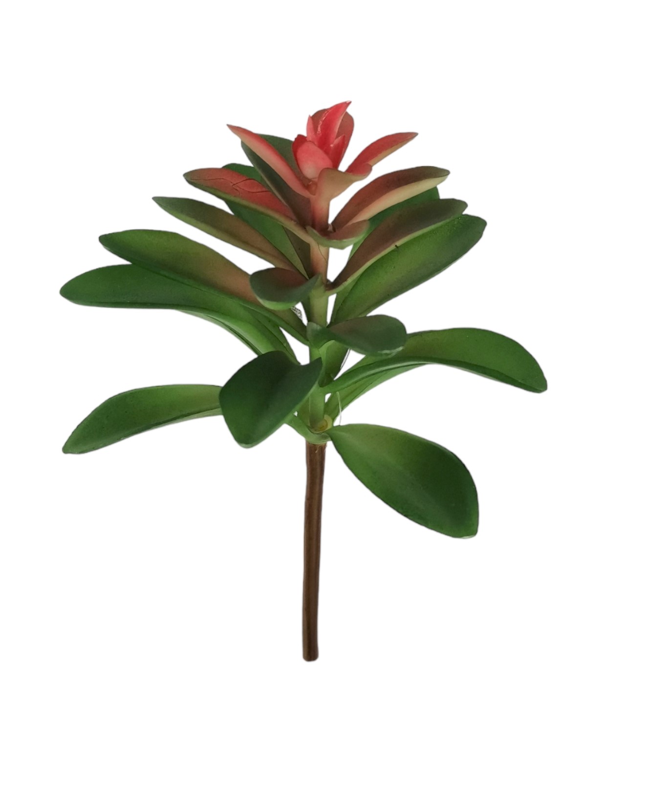 SUCCULENT PICK 20CM GR