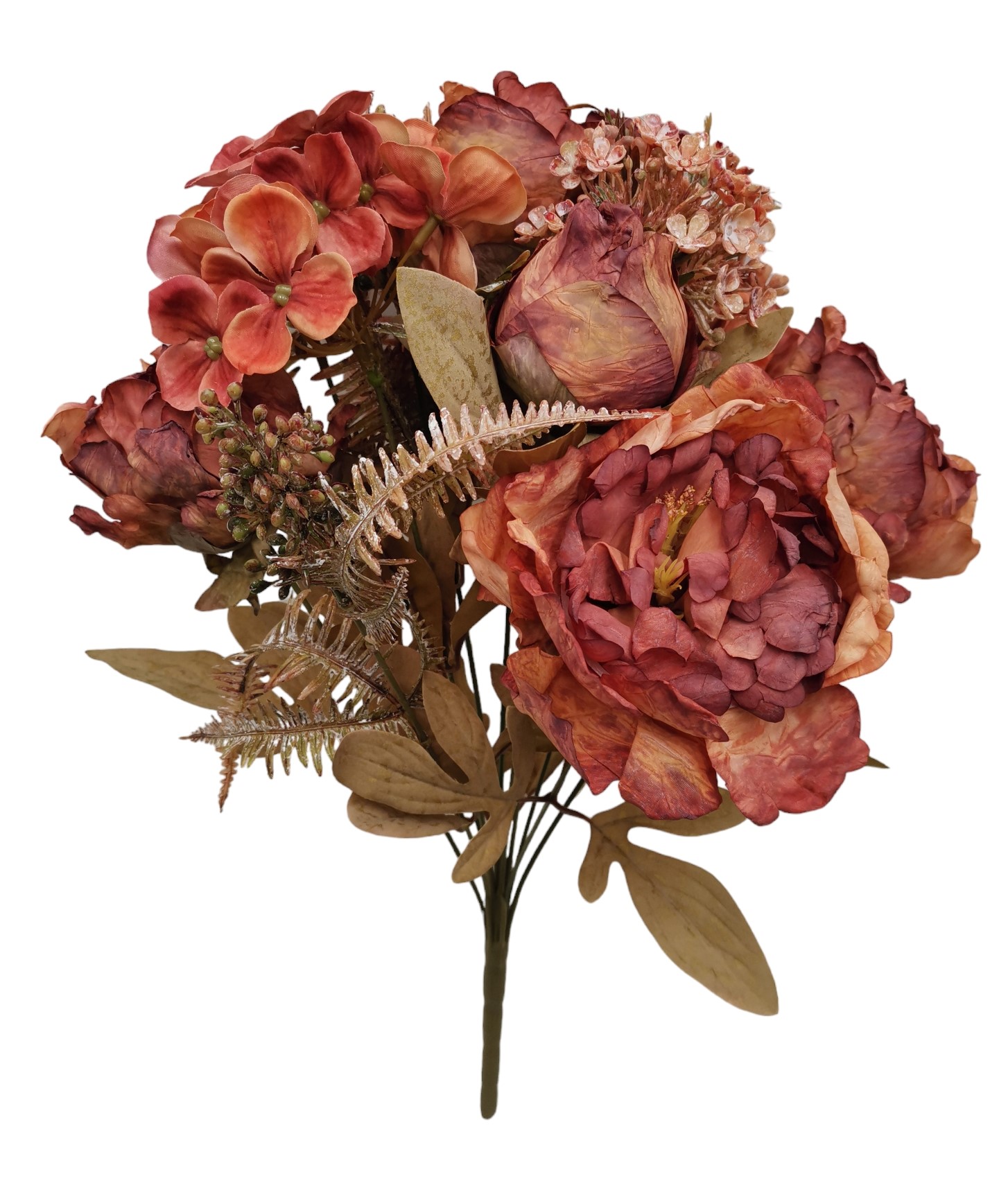 BUSH PEONIA ORTENSIA FILLER DRY X12 45CM OR