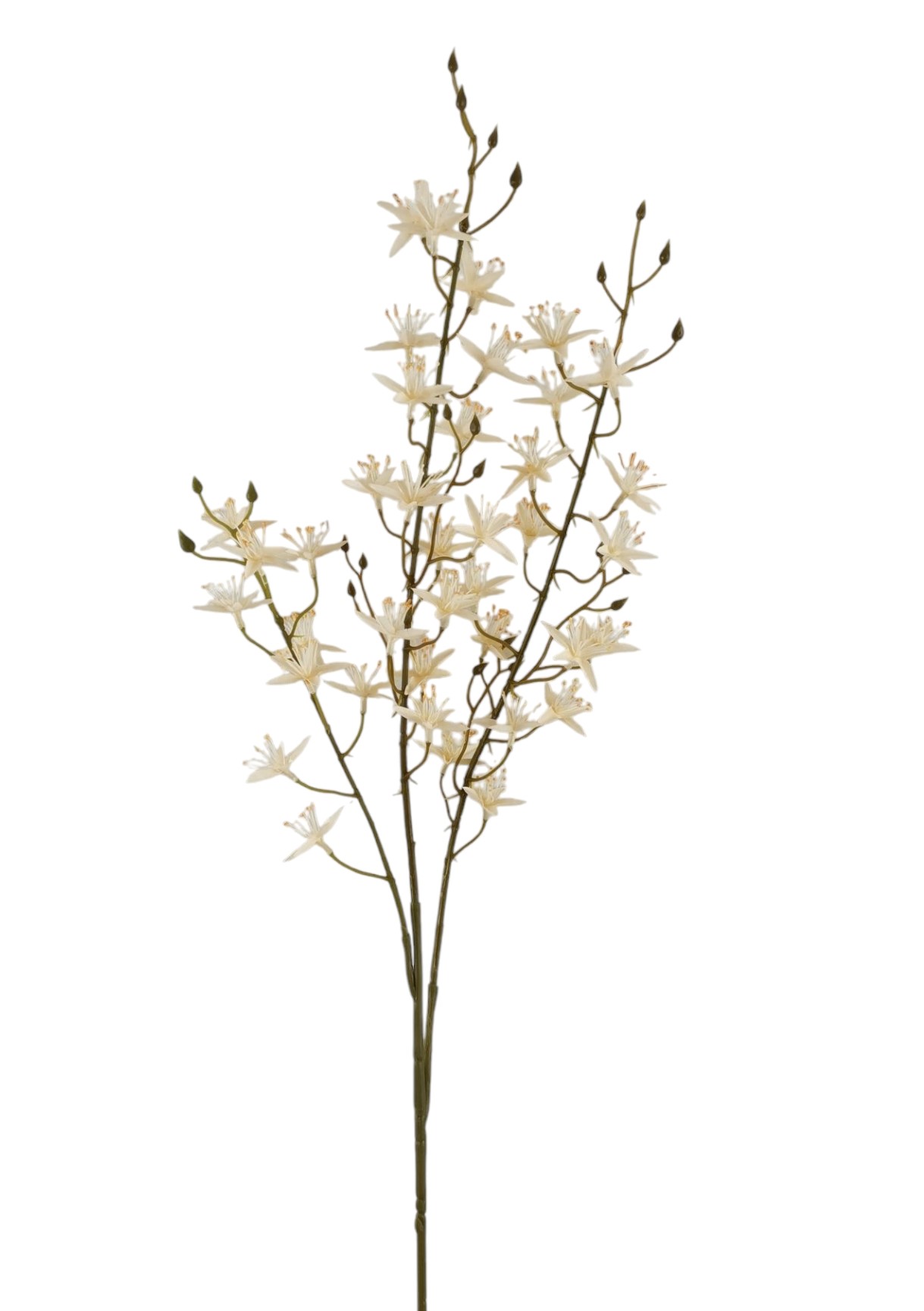 ASTER SPRAY X3 88CM CR