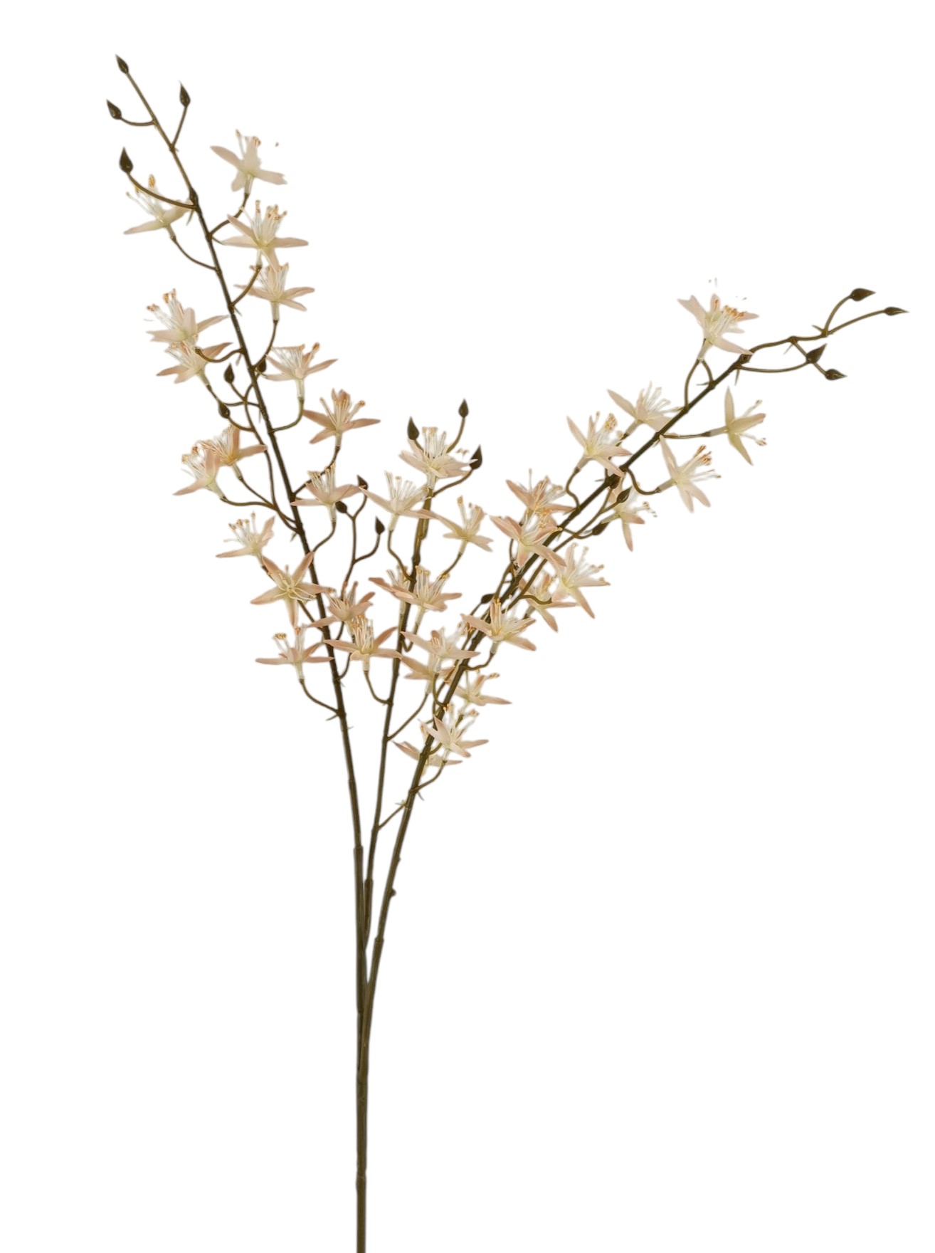 ASTER SPRAY X3 88CM PC