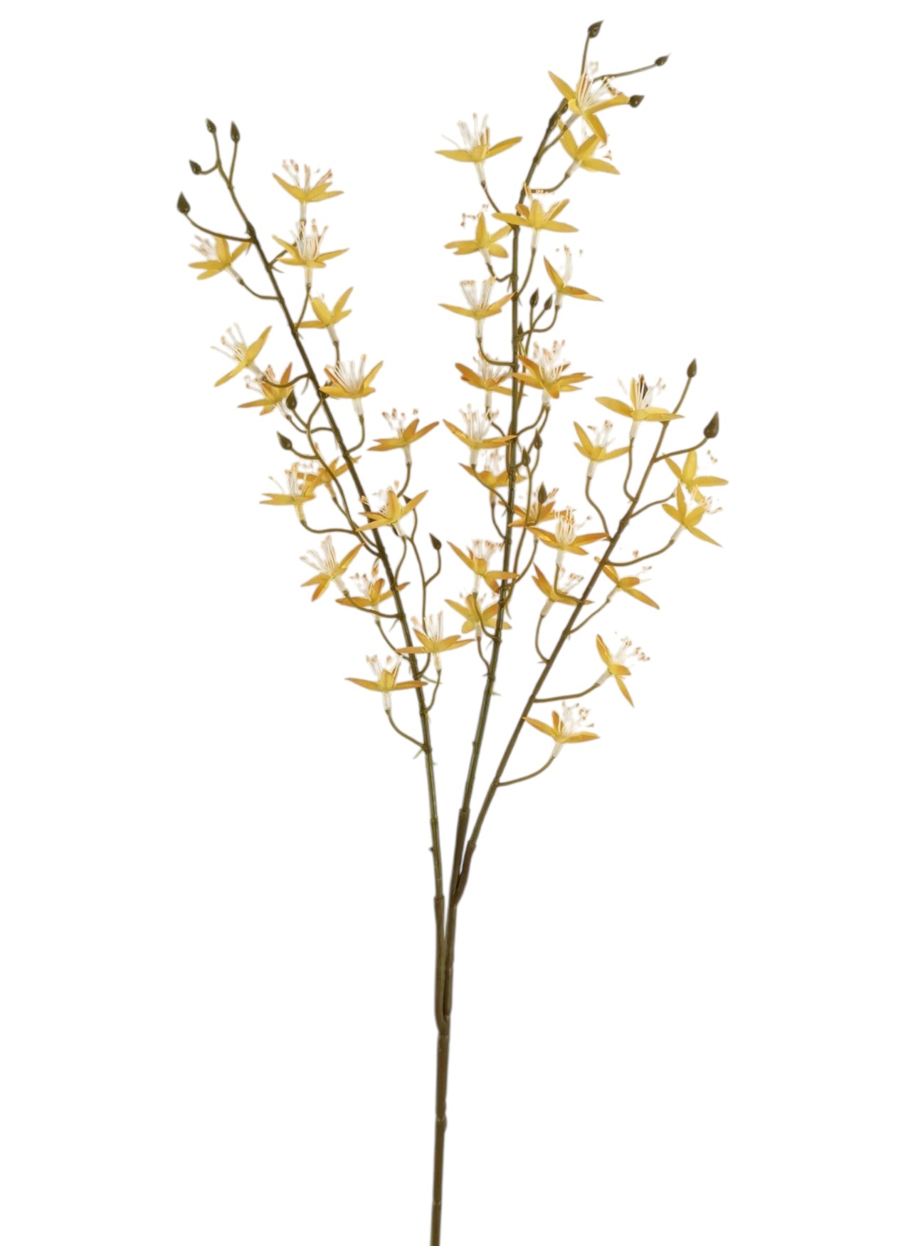 ASTER SPRAY X3 88CM YL
