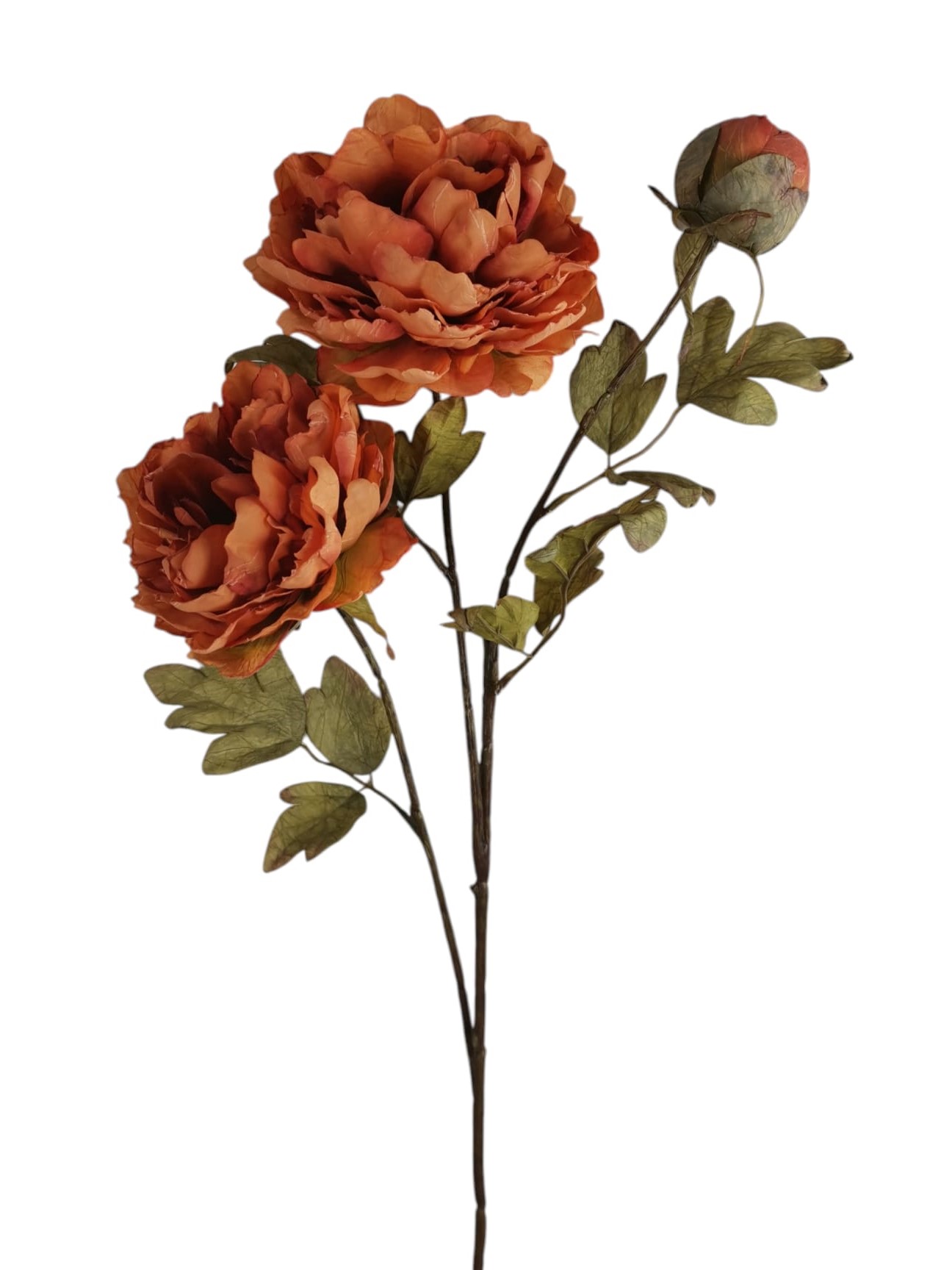 PEONIA SPRAY X3 70CM OR