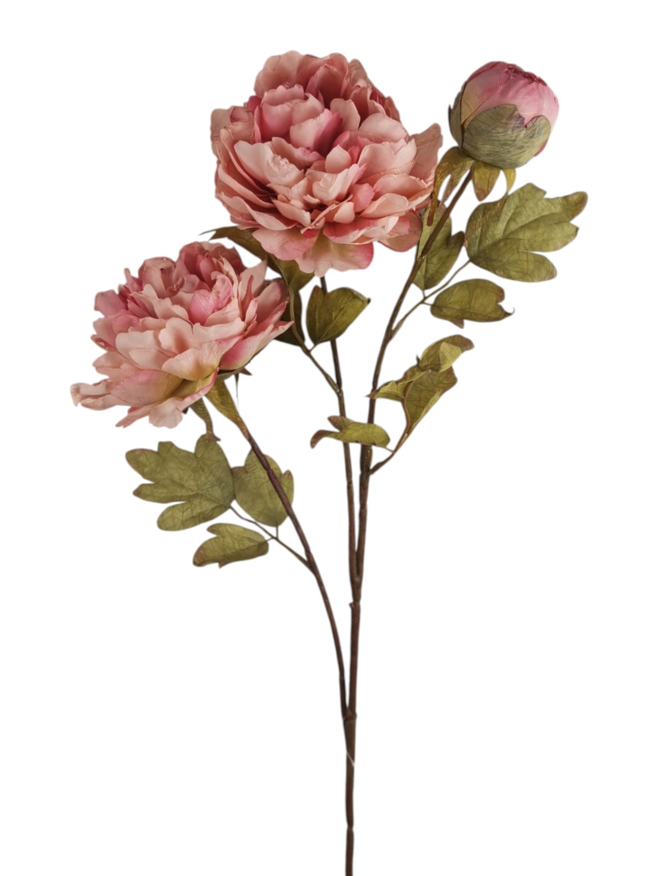 PEONIA SPRAY X3 70CM PK