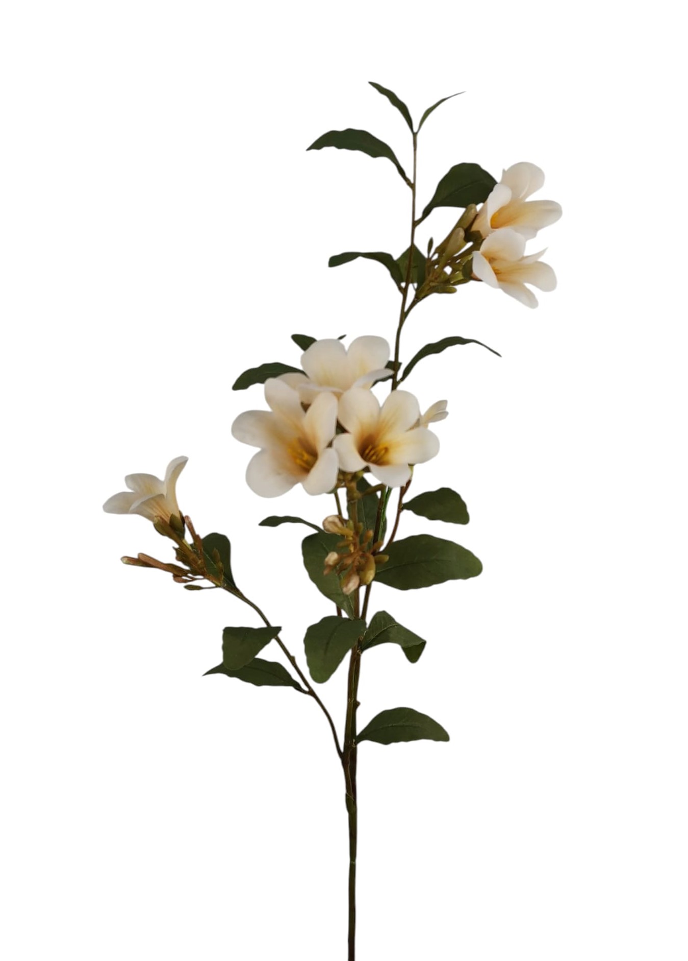 TROMBETTA SPRAY X3 84CM CR