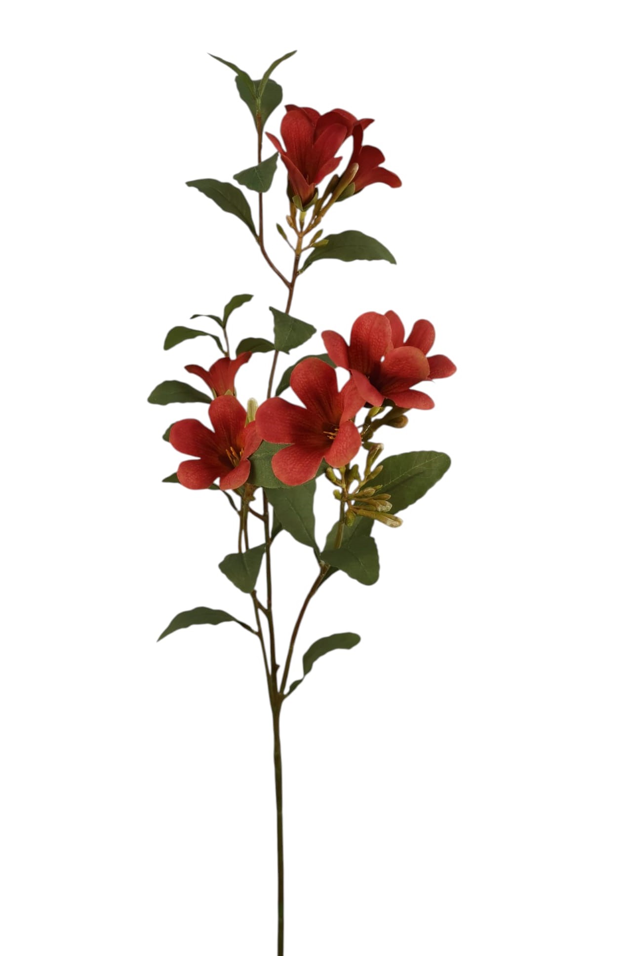 TROMBETTA SPRAY X3 84CM RD