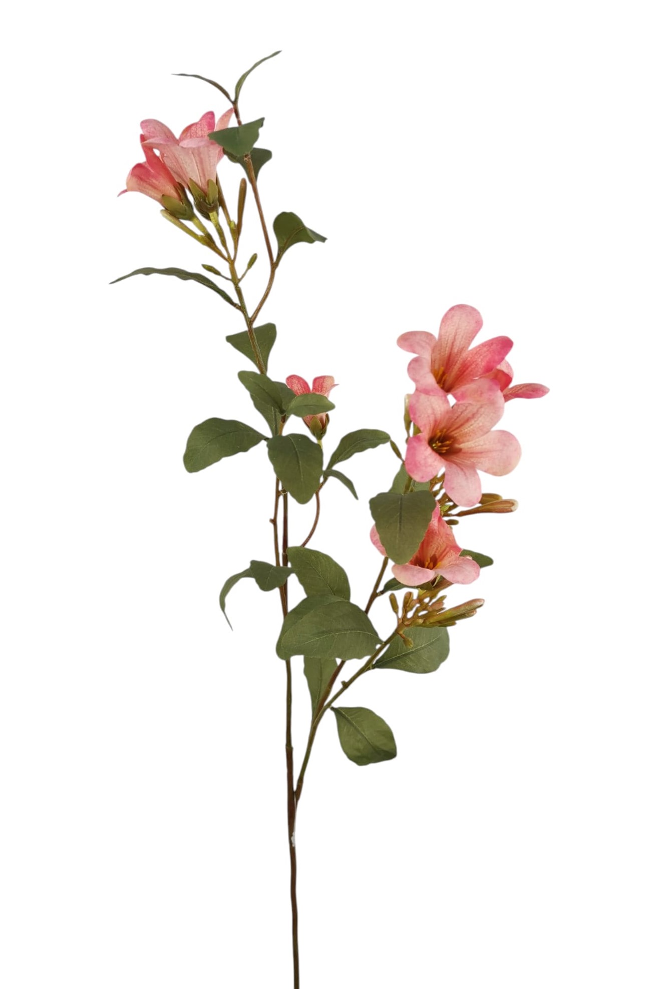 TROMBETTA SPRAY X3 84CM SA