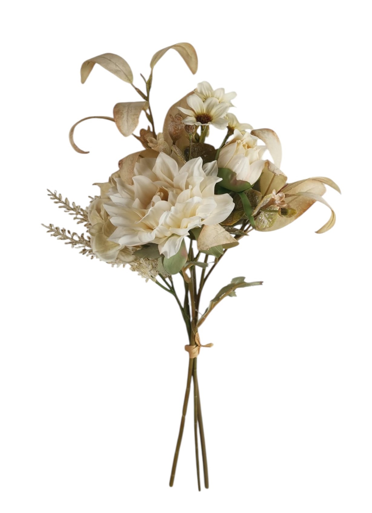 BUNDLE DALIA X3 50CM CR