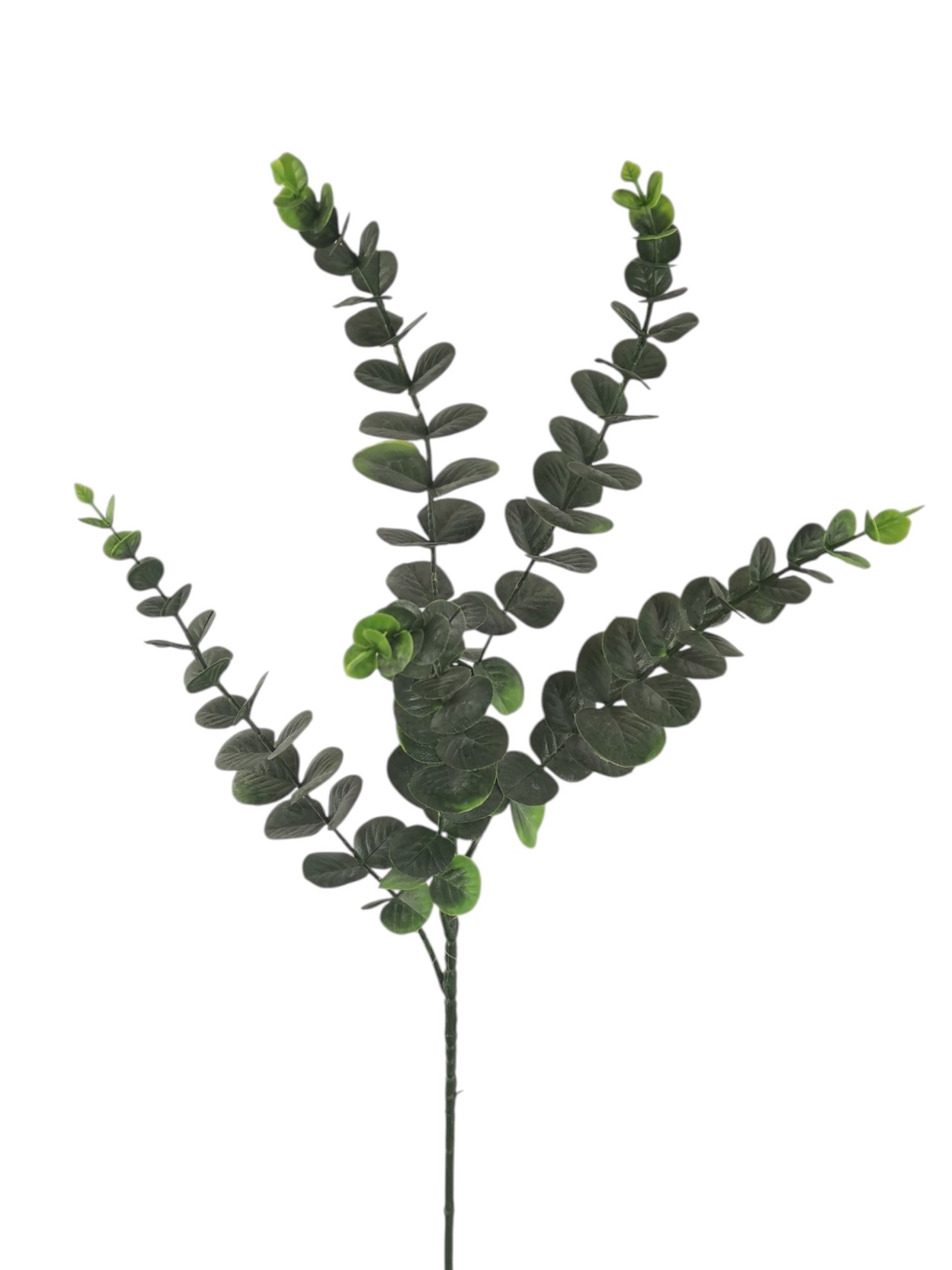 EUCALIPTO SPRAY X5 76CM GR