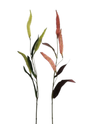 PROMO SETARIA SPRAY 90CM ASS