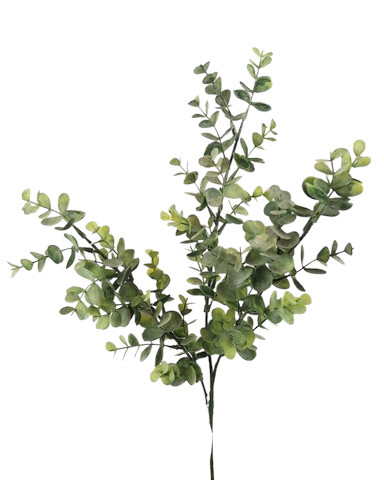 SC82GR