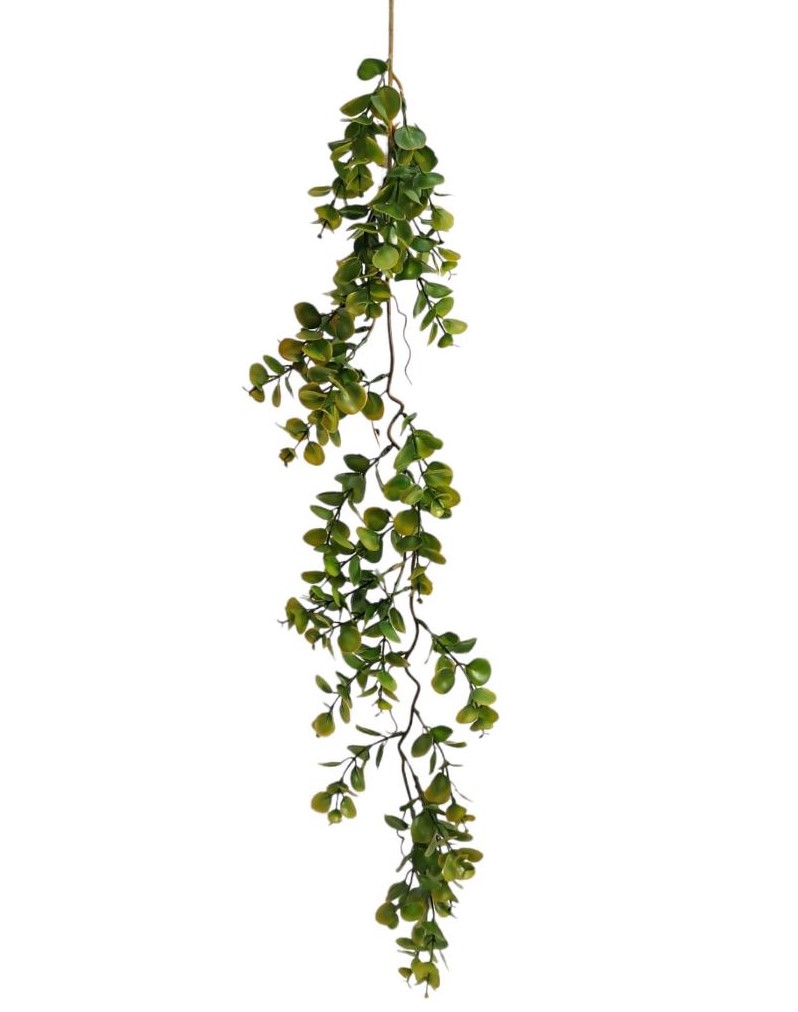 CADENTE EUCALIPTUS 100CM RDGR