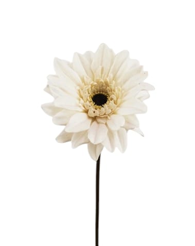 PROMO GERBERA DECO' 70CM CR