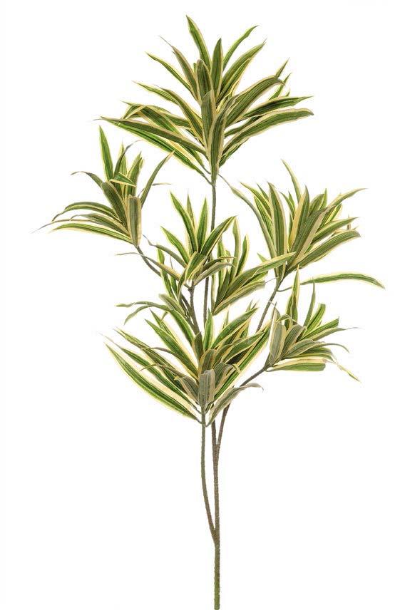 DRACENA REFLEXA SPRAY 88CM GRYL
