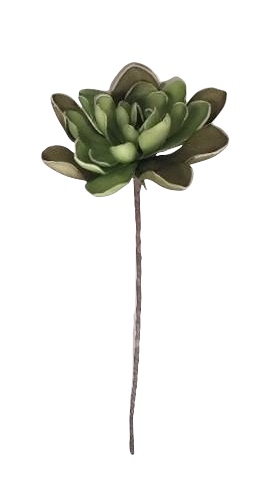 MAGNOLIA X1 FOAM 80CM