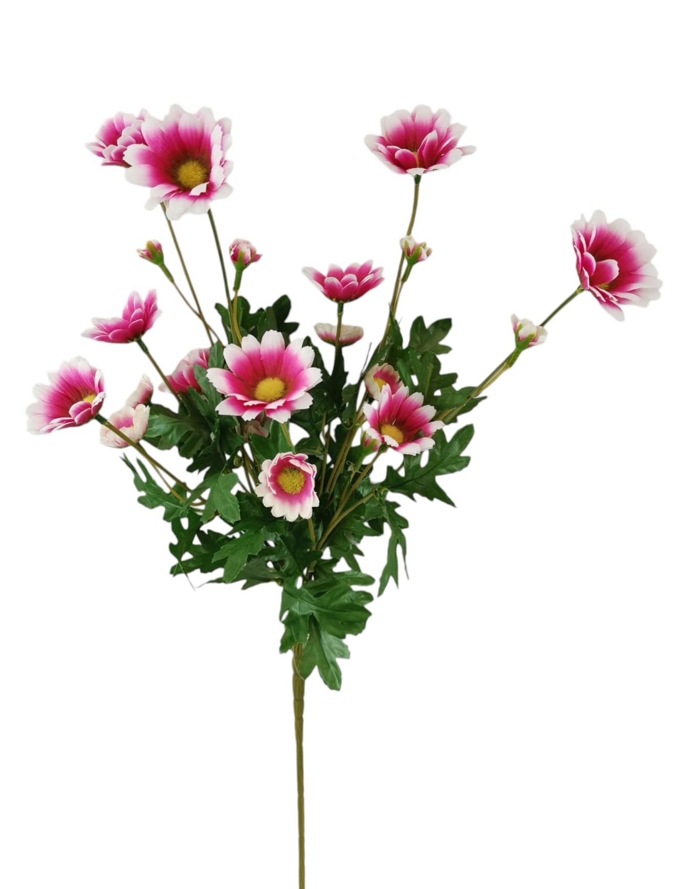DAISY X4 66CM PK