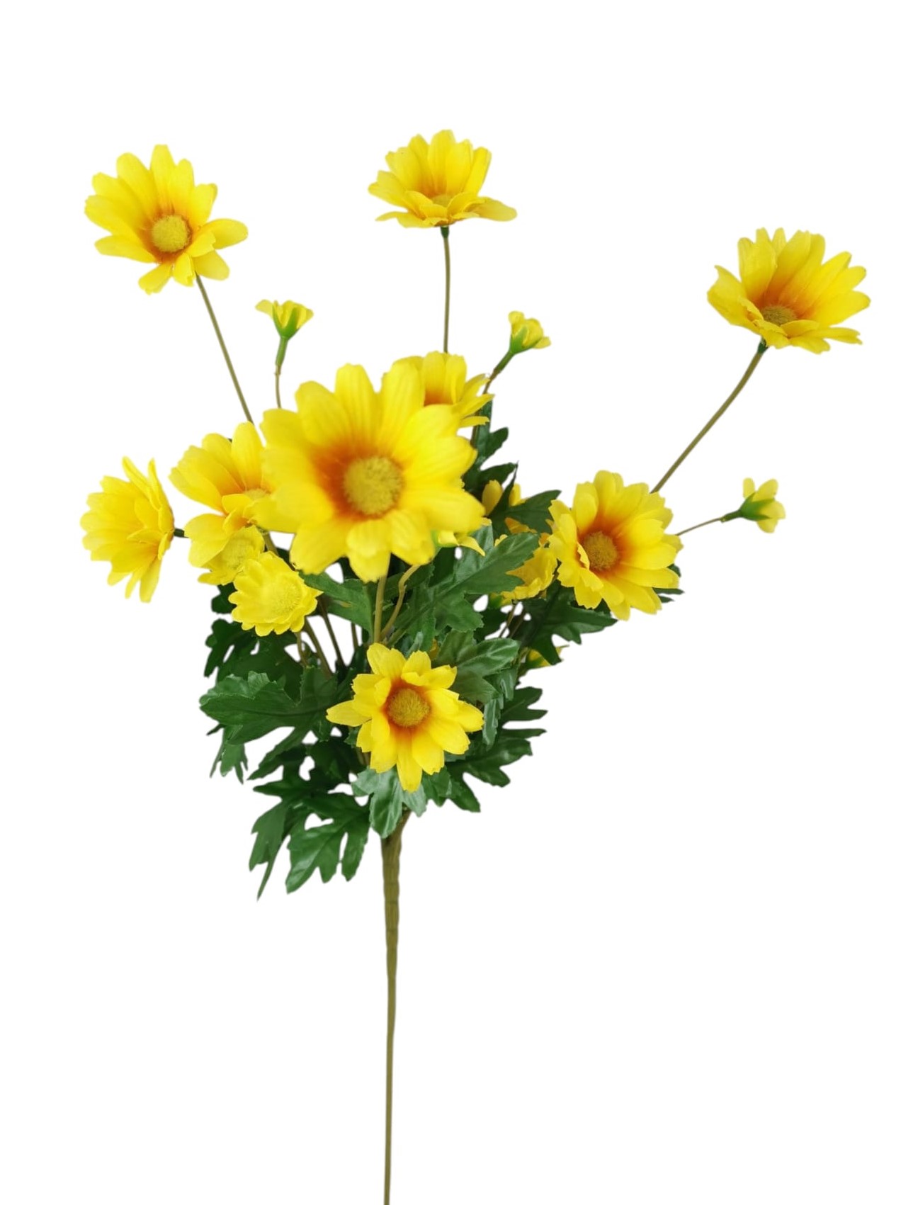 DAISY X4 66CM YL