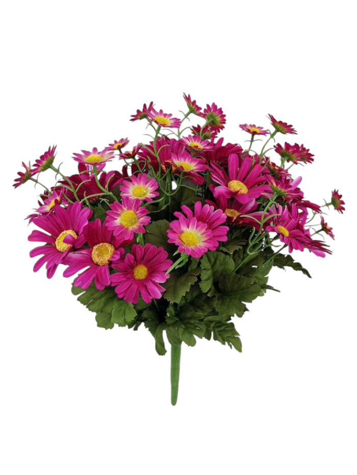 DAISY BUSH X36 45CM DKPK