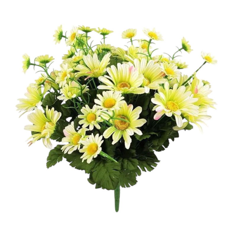 DAISY BUSH X36 45CM GR