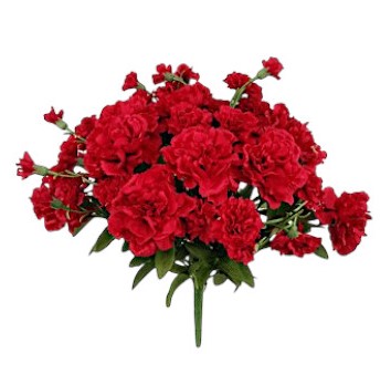 GAROFANO BUSH X36 45CM RD