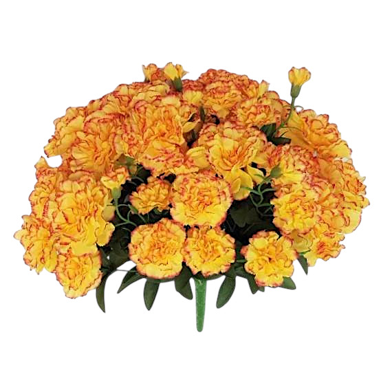 Prodotto