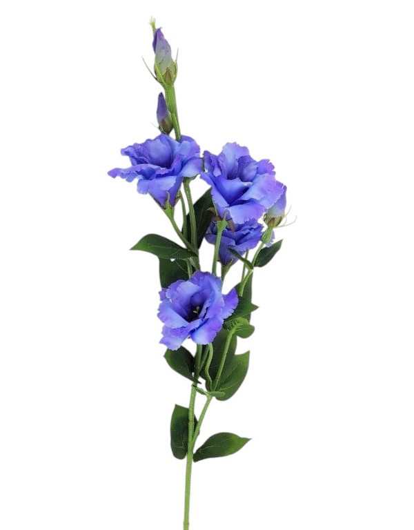 LISIANTHUS 82CM BL