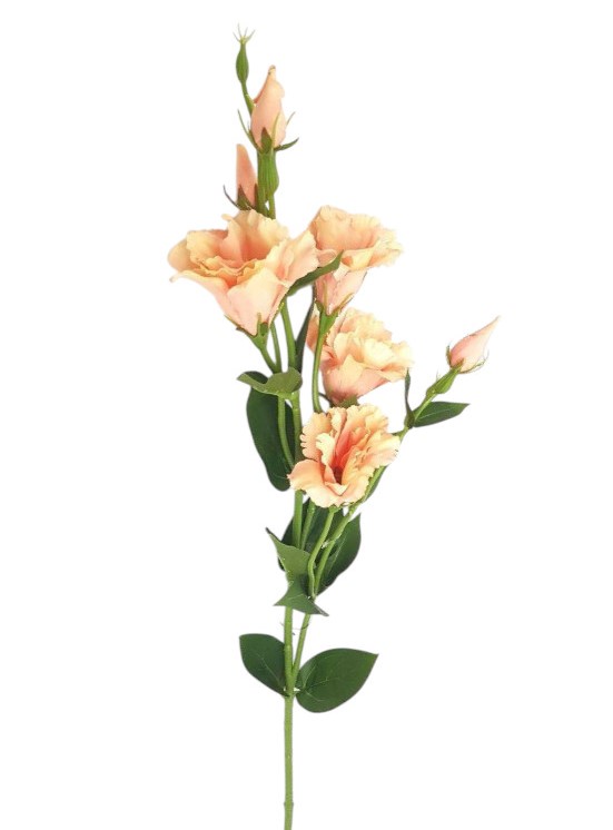 LISIANTHUS 82CM SA