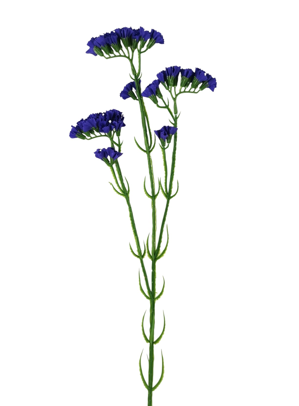 STATICE SPRAY 63CM DKBL