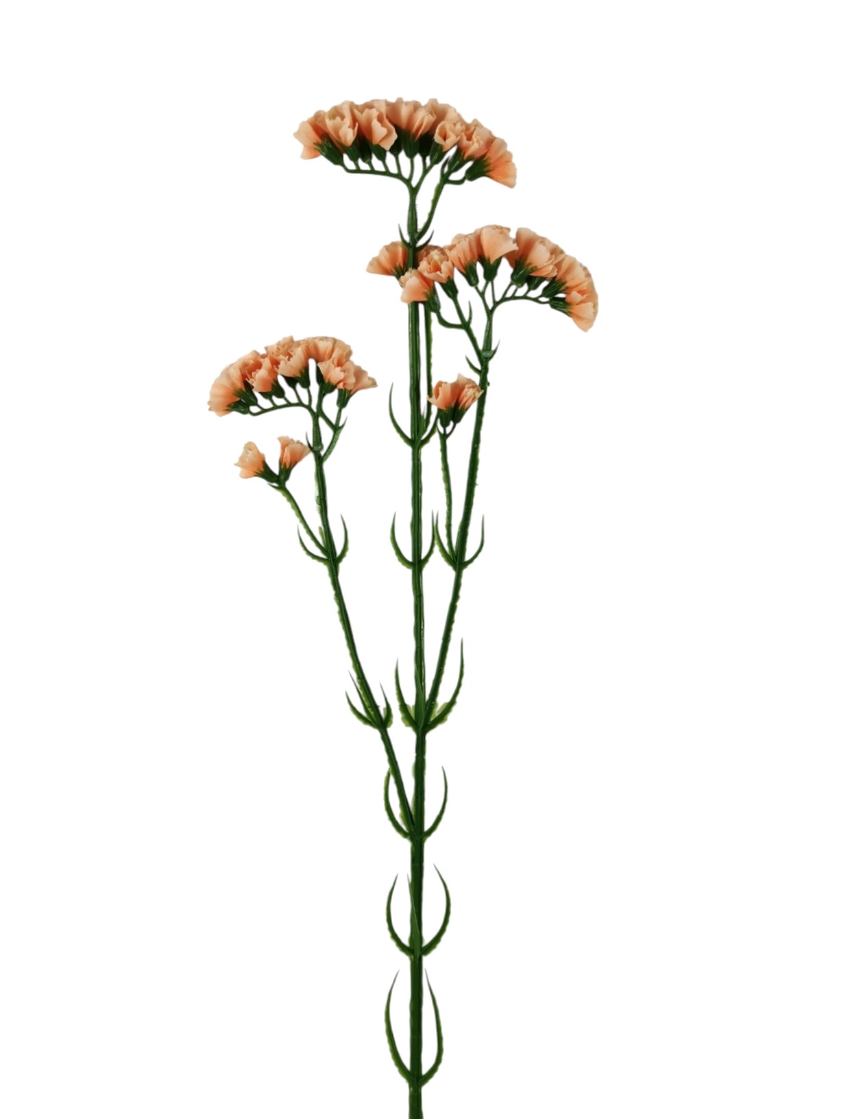 STATICE SPRAY 63CM SA