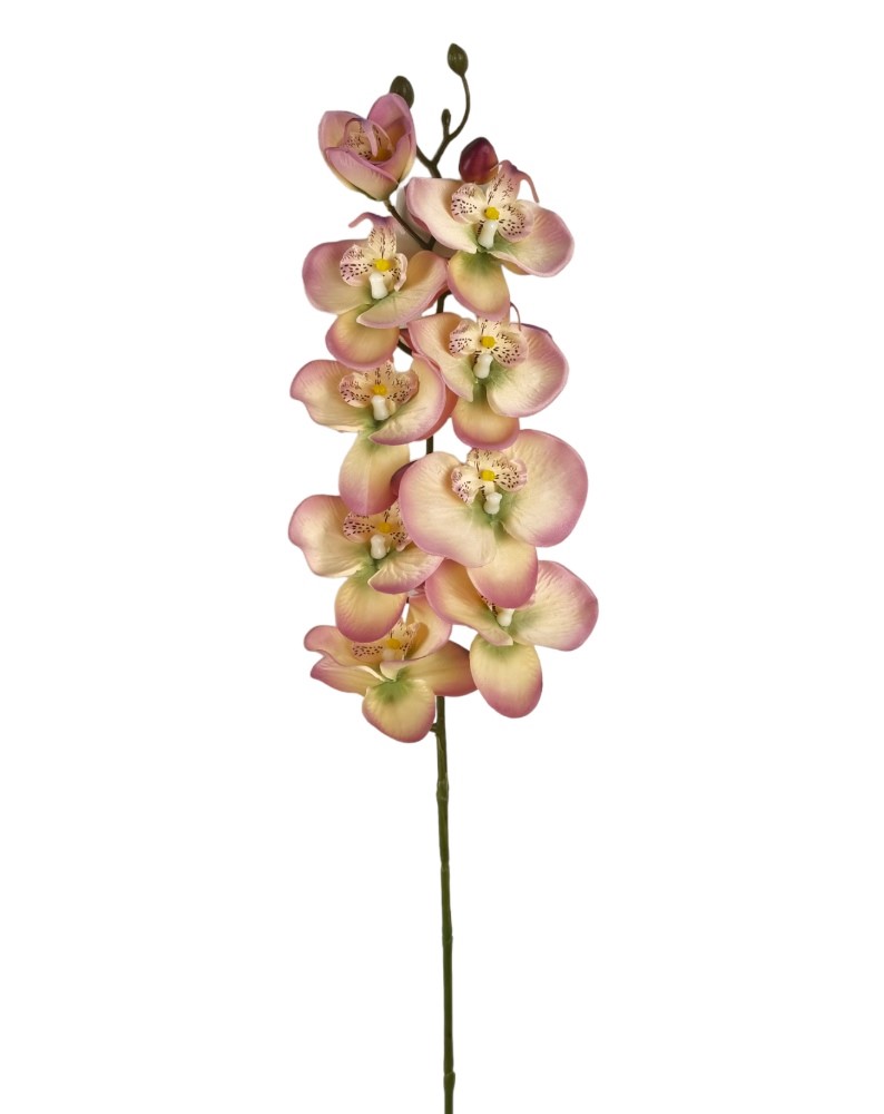 ORCHIDEA SPRAY X9 98CM CRLL