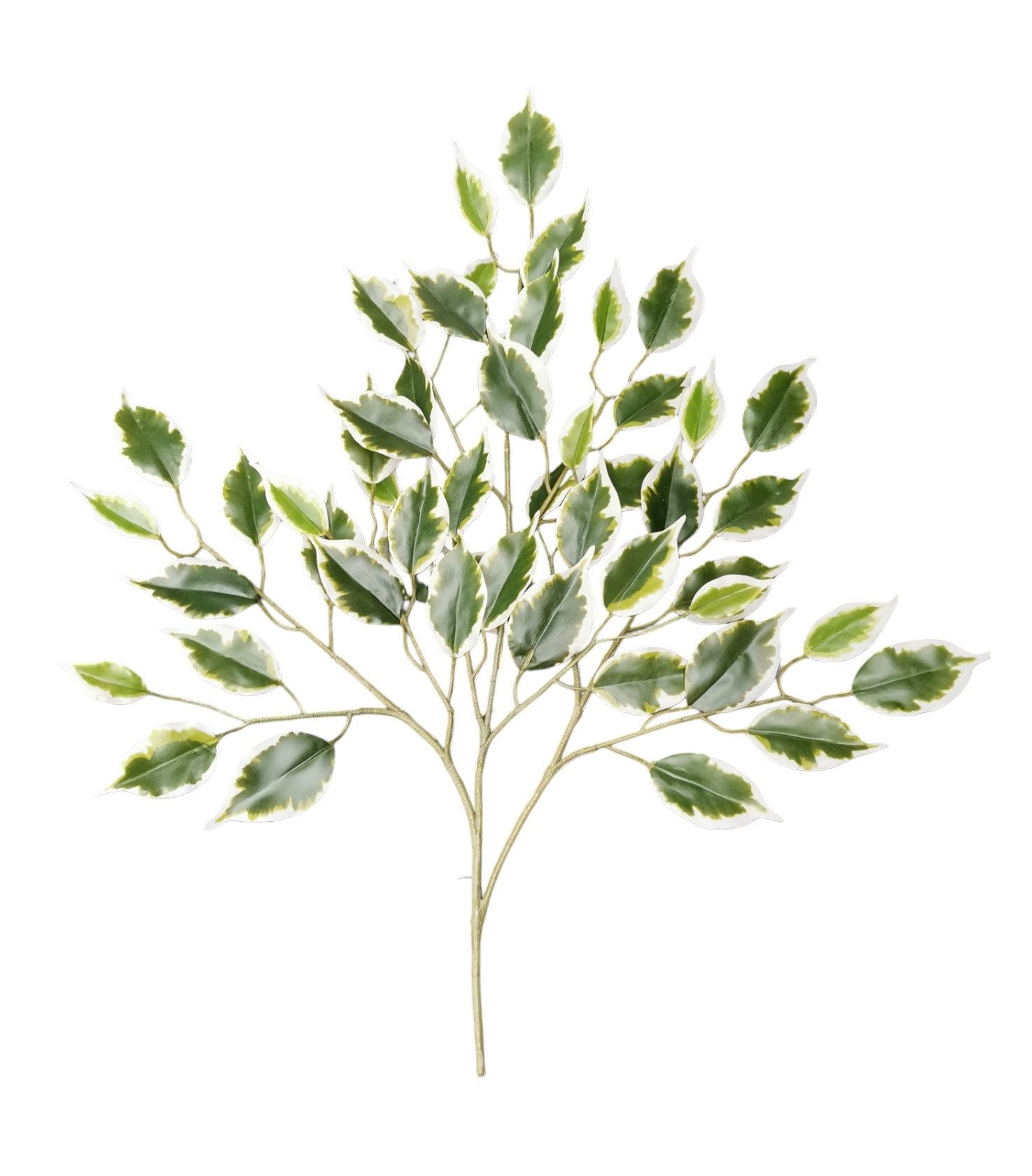 FICUS SPRAY 58CM VR